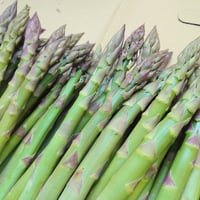 よっちページ 11/20発送 アスパラガス110株 アスパラガス1kg
