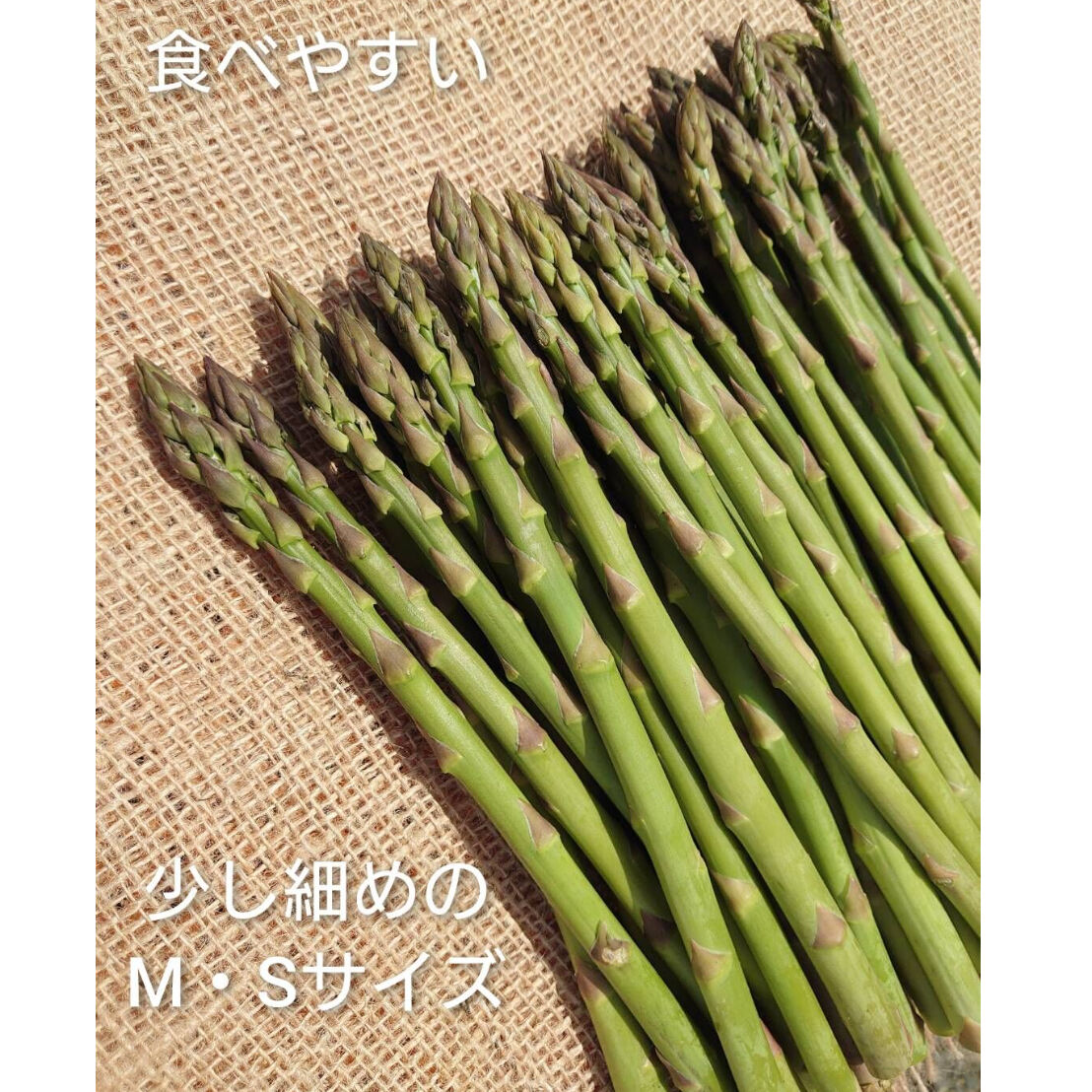 アスパラガス 新鮮 Sサイズ 500g - 野菜