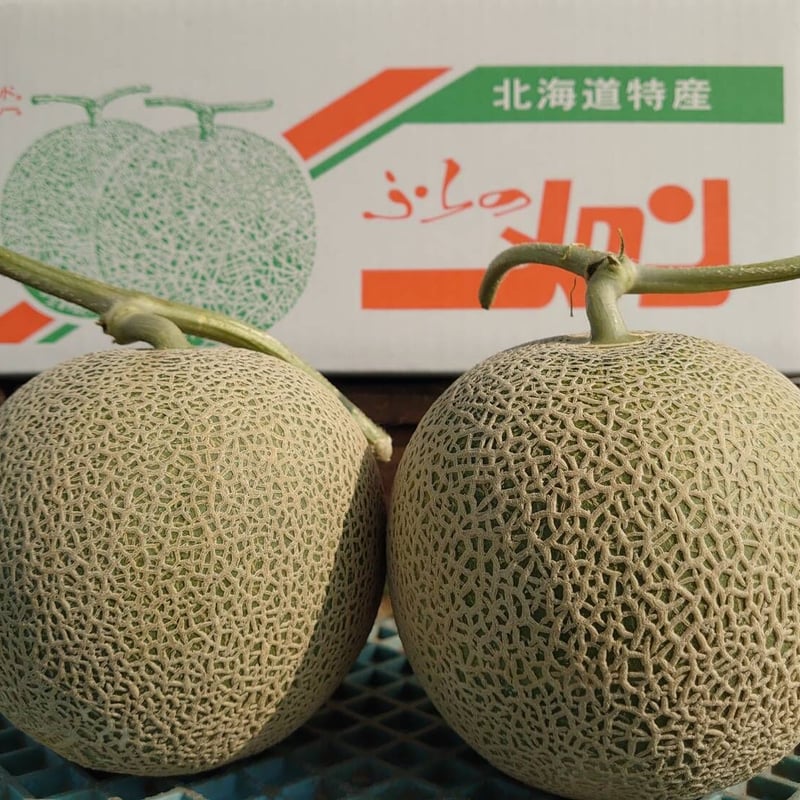 6月下旬〜発送【数量限定！食べやすい小さめサイズ♪】富良野