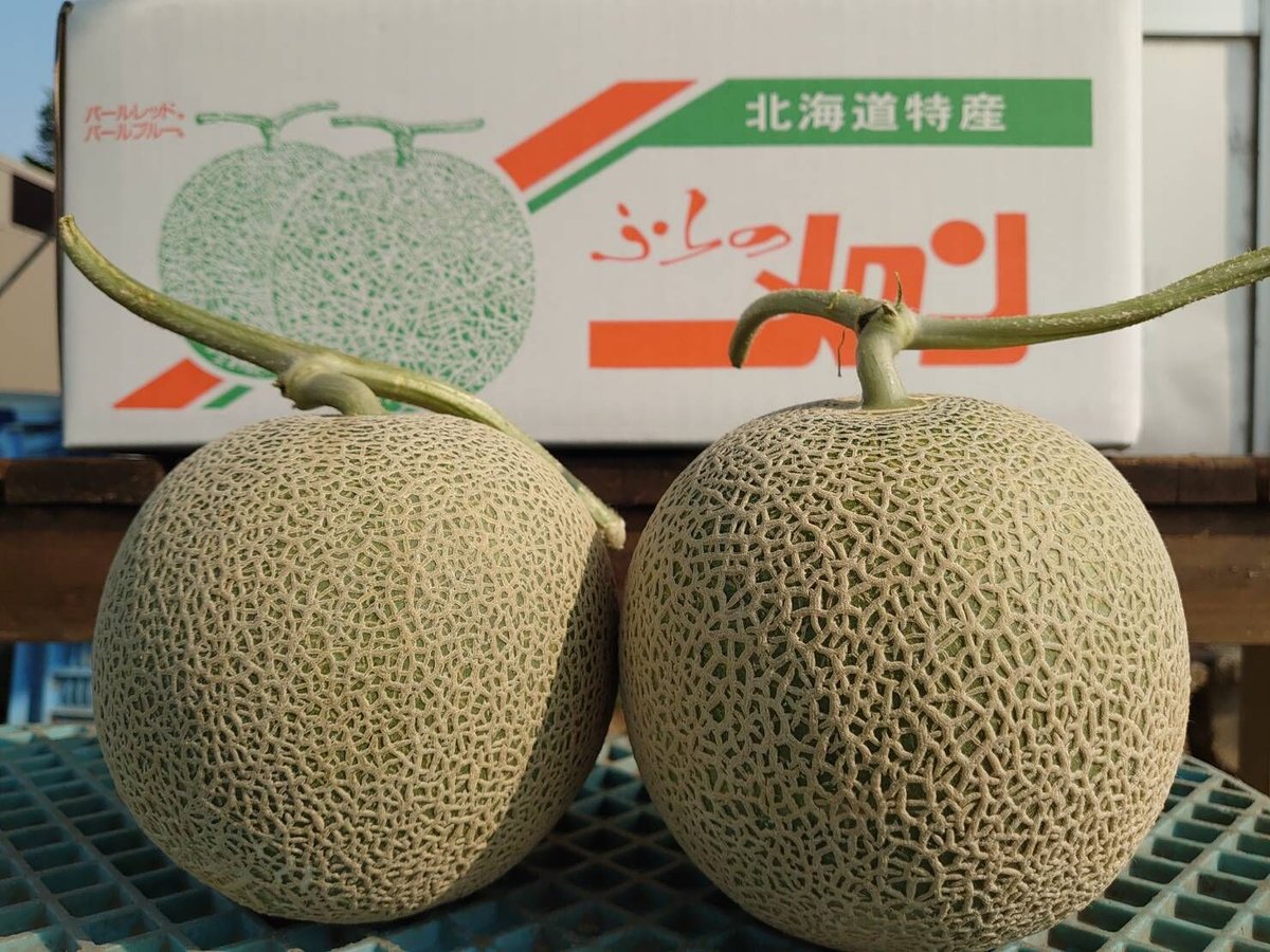 富良野メロン　5玉セット　甘いメロン 富良野メロン【5玉入】 - 株式会社東光 オンラインショップ