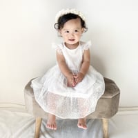 butterfly dress