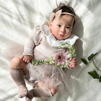 ナンバーフラワー　　7番