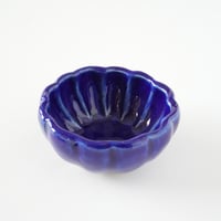 瑠璃菊豆小鉢