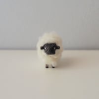 hitsuji object / M size Gray | hitsujiの庭