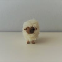 hitsuji object / M size Gray | hitsujiの庭
