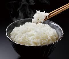 令和7年産】丹波篠山産コシヒカリ 玄米20kg | 山内農場STORE