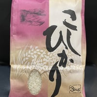 令和7年産】丹波篠山コシヒカリ 白米10kg | 山内農場STORE