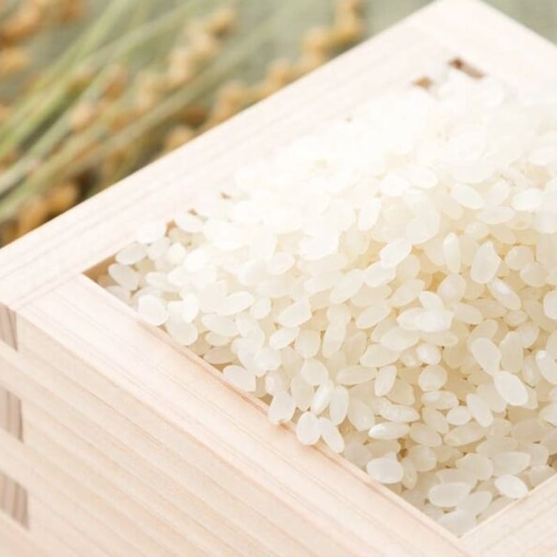 令和7年産】丹波篠山コシヒカリ 白米10kg | 山内農場STORE