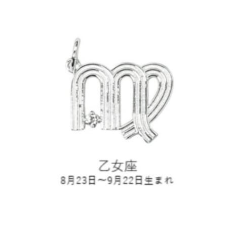 【受注終了】スターサインチャーム（星座モチーフ） シルバーカラー