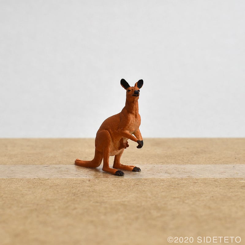 29519 カンガルー | SIDETETO STORE