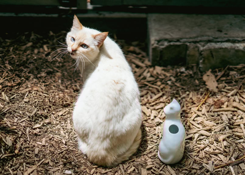 ひがし ちか 花器「愛 編む 磁器猫」 白猫 / 桃猫 / 黒猫 | zen to
