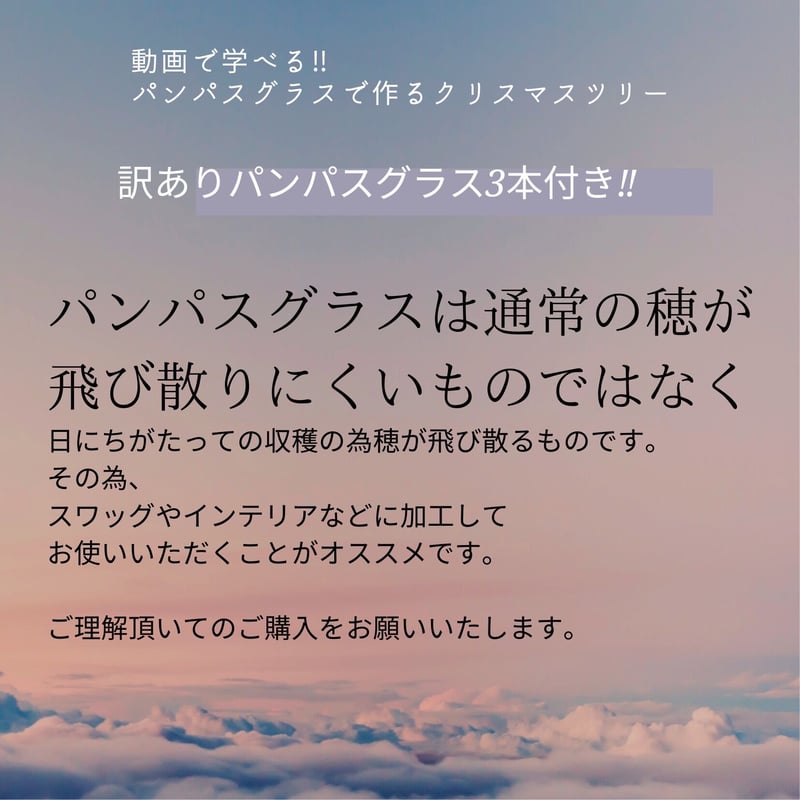 パンパスX'mas treeセットA（動画付き） | ドライフラワーインテリア Rin's