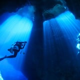Blue Palms Dive Service Online STORE