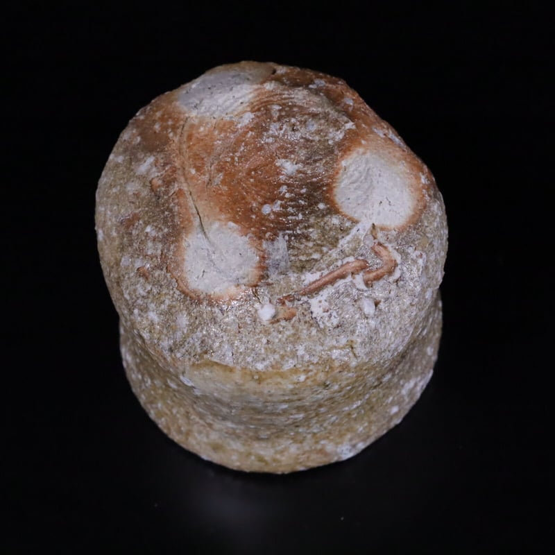 渡辺愛子 伊賀ぐい呑 | LYAN ARTS' Collection online shop