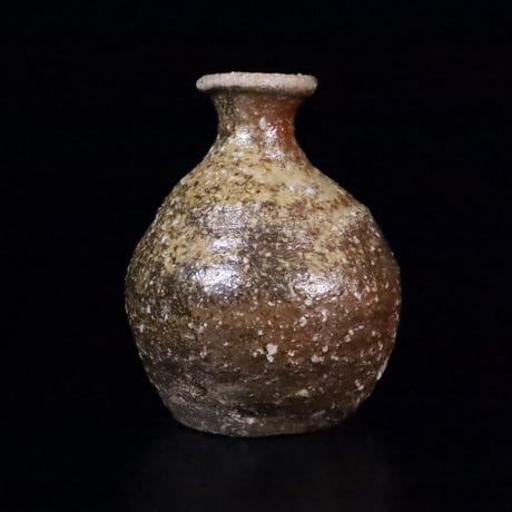 渡辺愛子信楽盃⑥ fit=scale-down,w=1200
