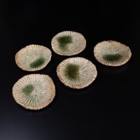 武末日臣 井戸片口 | LYAN ARTS' Collection online shop