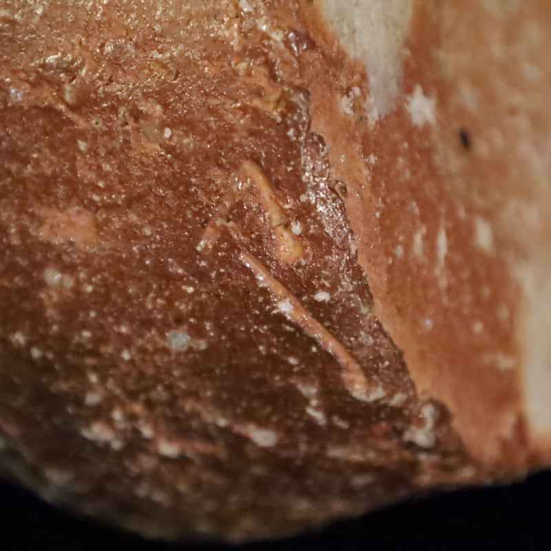 渡辺愛子 信楽蹲掛花入 | LYAN ARTS' Collection online shop