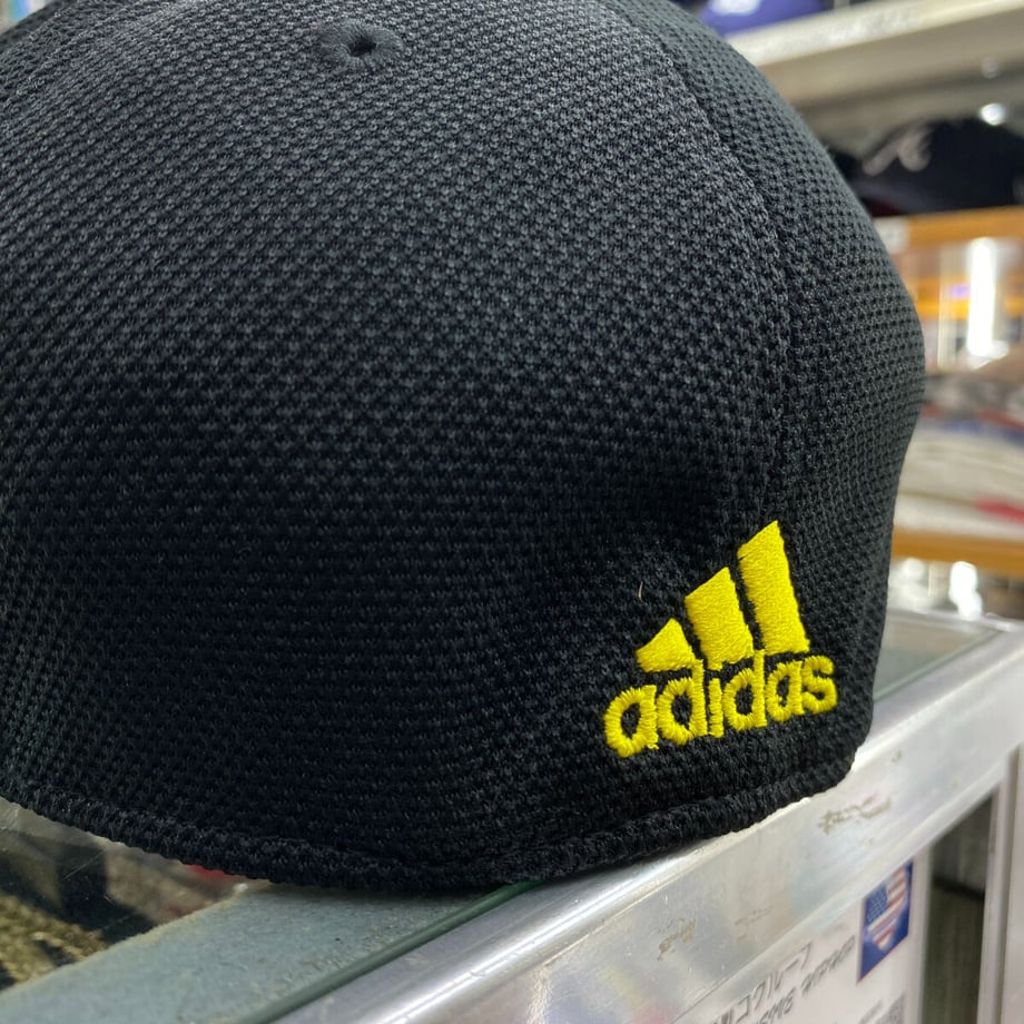 64c77ca39391c4002c9d9200