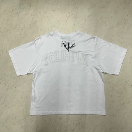 米国ブランド REBEL MINDS レーベルマインド Cropped T-Shirts クロップドTシャツ (CropT9)