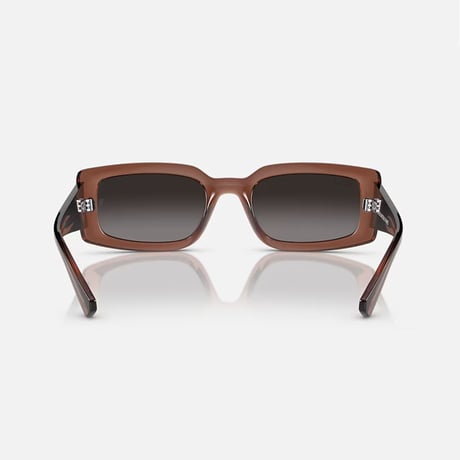 Ray-Ban レイバン KILIANE キリアン BIO-BASED バイオベース サングラス RB4395F ブラウン (0RB1)