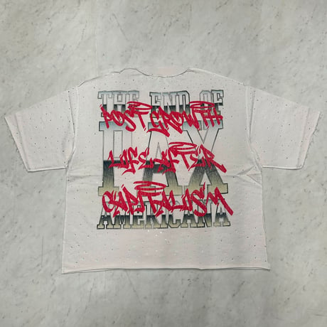 カリフォルニア発 Rare Peace レアピース Cue The Chaos Camel クロップドTシャツ ラインストーン (CropT40)