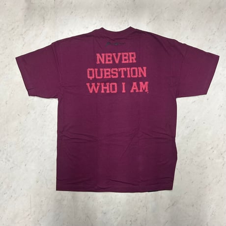 LA発 Positive Wear Clothing ポジティブウェア クロージング 1991 ALUMNI Tシャツ (PWT11burg)