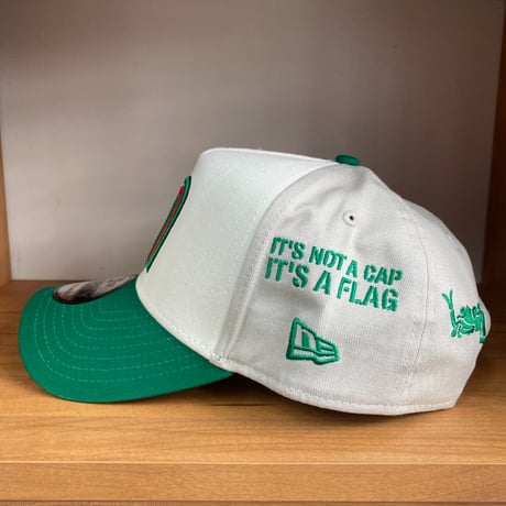 USA仕様 Newera ニューエラ 9Forty Aフレーム 限定 メキシコ代表 Mexico スナップバックキャップ (940-140)