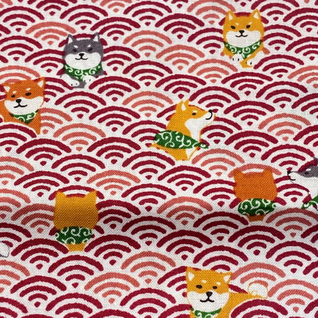 柴犬 | STORES
