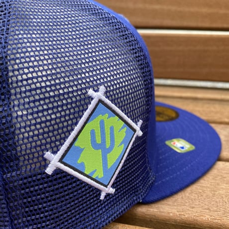 限定 NEWERA 59FIFTY スプリングトレーニング メッシュキャップ LA Dodgers ドジャース (15-11)