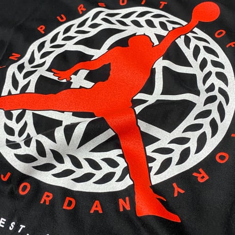USAモデル NIKE ナイキ AIR JORDAN ジョーダン 半袖 Tシャツ PURSUIT ジャンプマン (AJ3)