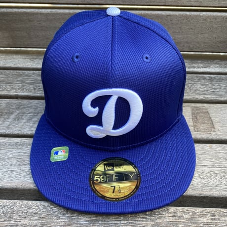 USA限定 NEWERA 2024 Spring Training 59FIFTY ロサンゼルス ドジャース LA Dodgers  (15-39)