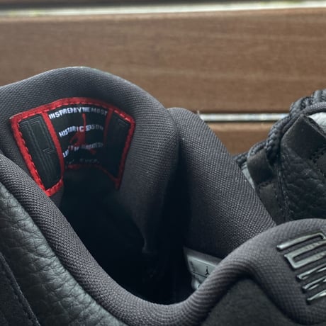 NIKE ナイキ AIR JORDAN11 RETRO LOW ジョーダン11 レトロ "72-10" Extreme  (AJ63)