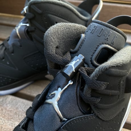 NIKE ナイキ AIR JORDAN6 RETRO エアジョーダン6 レトロ メタリック (AJ92)