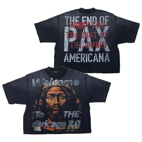 カリフォルニア発 Rare Peace レアピース Welcome To The Dark Age 2.0 クロップドTシャツ ラインストーン (CropT22)