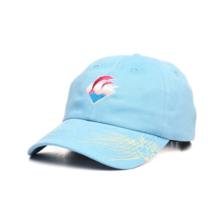 Pink Dolphin ピンクドルフィン WAVE DRIP スナップバックキャップ 水色 ウェーブ ドリップ