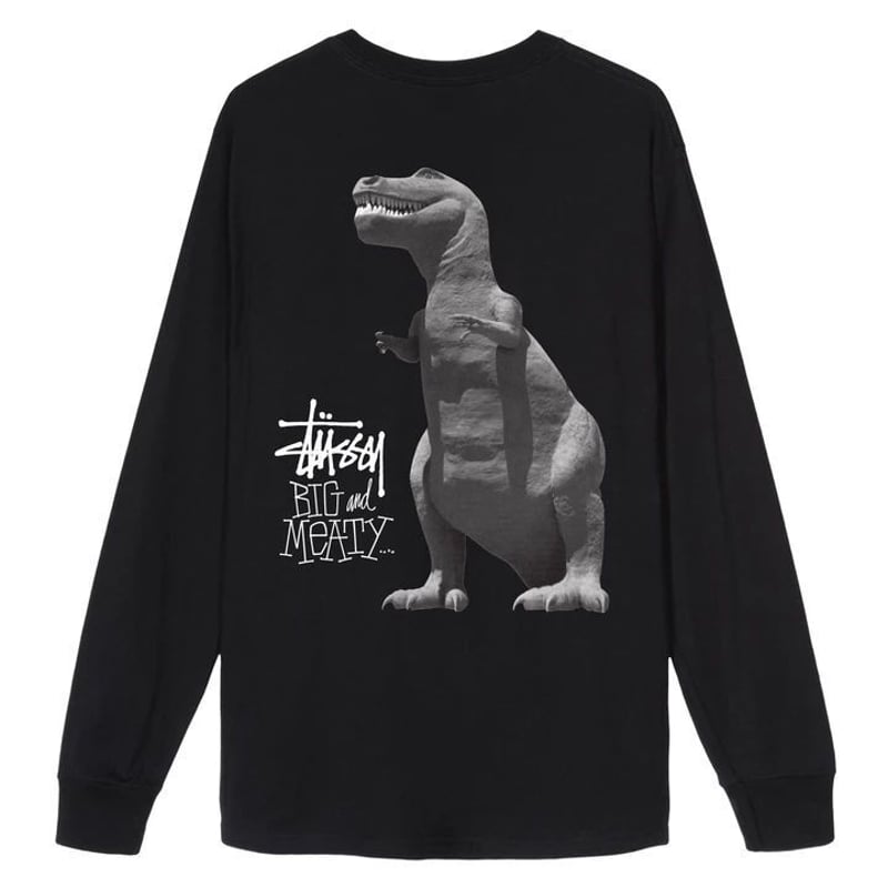 Stussy ステューシー BIG MEATY ビッグマイティ 恐竜 ショーン