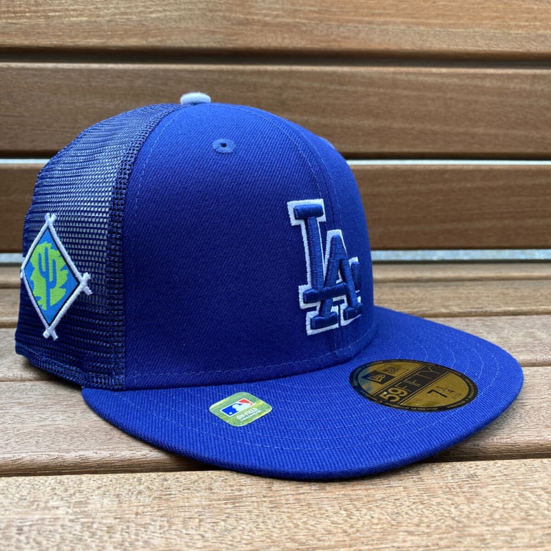 限定 NEWERA ニューエラ 59FIFTY スプリングトレーニング メッシュ
