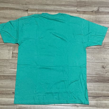 【L】 Stussy ステューシー Droppin Science 半袖 Tシャツ 西海岸 ストリート 緑 グリーン (61)