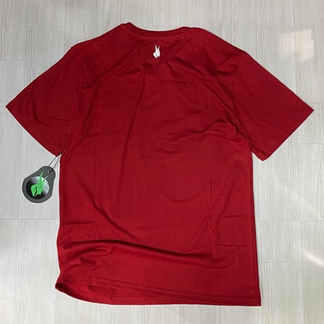 USAブランド GOAT Solo ゴートソロ KUSH クッシュ グラフィック 半袖 Tシャツ DKレッド　(GT6)