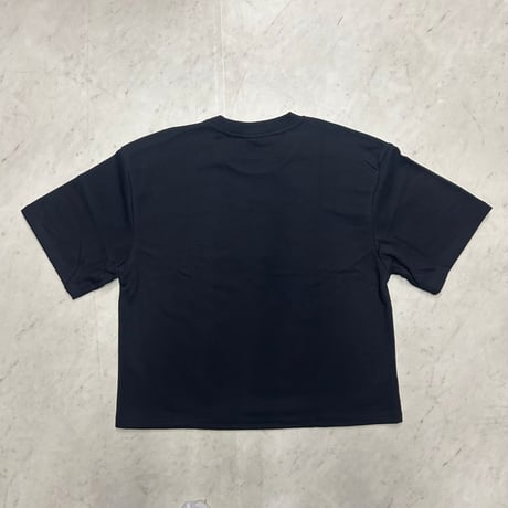 米国ブランド REBEL MINDS レーベルマインド Cropped T-Shirts クロップドTシャツ (CropT34)