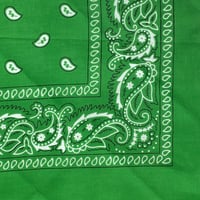 ペイズリー バンダナ Paisley Bandana ヴィンテージ調 大判サイズ 54cm 緑 (BNDN98)