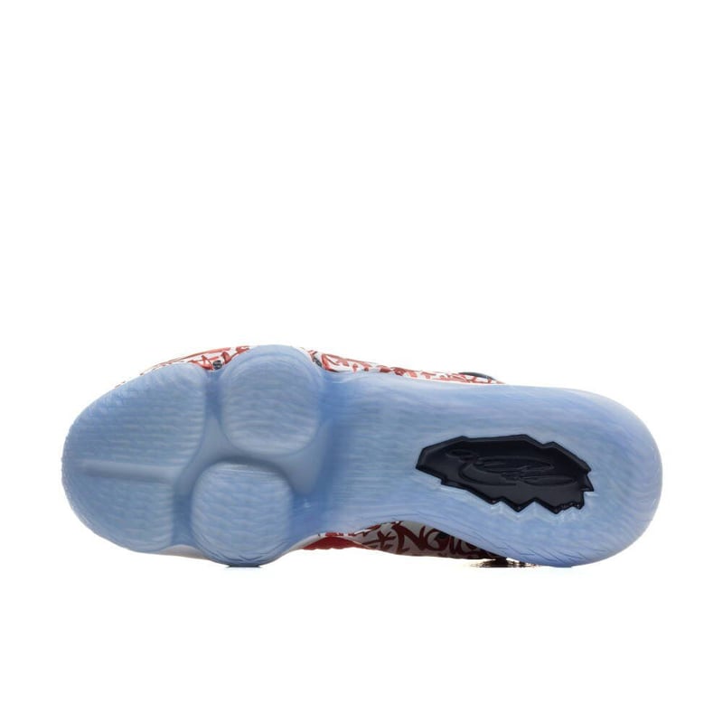 NIKE ナイキ LEBRON XVII レブロンジェームズ GRAFFITI REMIX フ