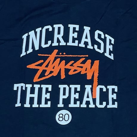 【M】 Stussy ステューシー ITP オーセンティック 半袖 Tシャツ カレッジスタイル 西海岸 ネイビー (50)