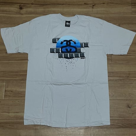 【M】 Stussy ステューシー 半袖 Matt Mignanelli Tシャツ パウダーグレー 青ロゴ ストリート SSリンク コットン100% (42)