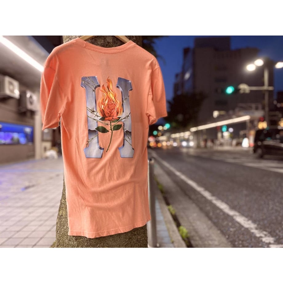 5f16ca367df28157118ab96c