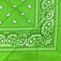 ペイズリー バンダナ Paisley Bandana ヴィンテージ調 大判サイズ 54cm きみどり (BNDN97)