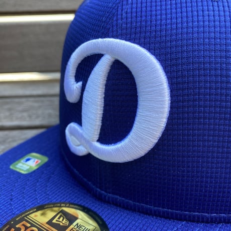 USA限定 NEWERA 2024 Spring Training 59FIFTY ロサンゼルス ドジャース LA Dodgers  (15-39)