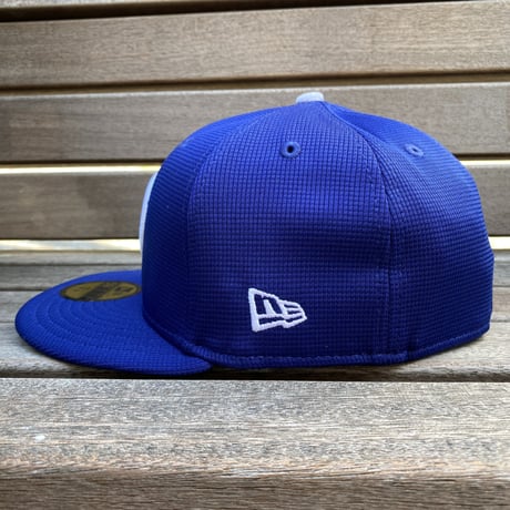 USA限定 NEWERA 2024 Spring Training 59FIFTY ロサンゼルス ドジャース LA Dodgers  (15-39)