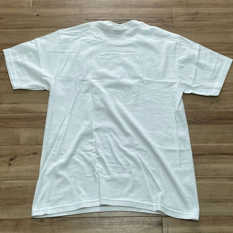 【M】  Stussy ステューシー BEAT DOWN 半袖 Tシャツ Big Meaty 恐竜 コットン100% カリフォルニア (6)