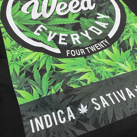 LA発 SMOKE WEED グラフィック 半袖 ヘビーウェイト Tシャツ 黒 オーバーサイズ (GTS86)